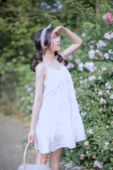 锦绣南歌
